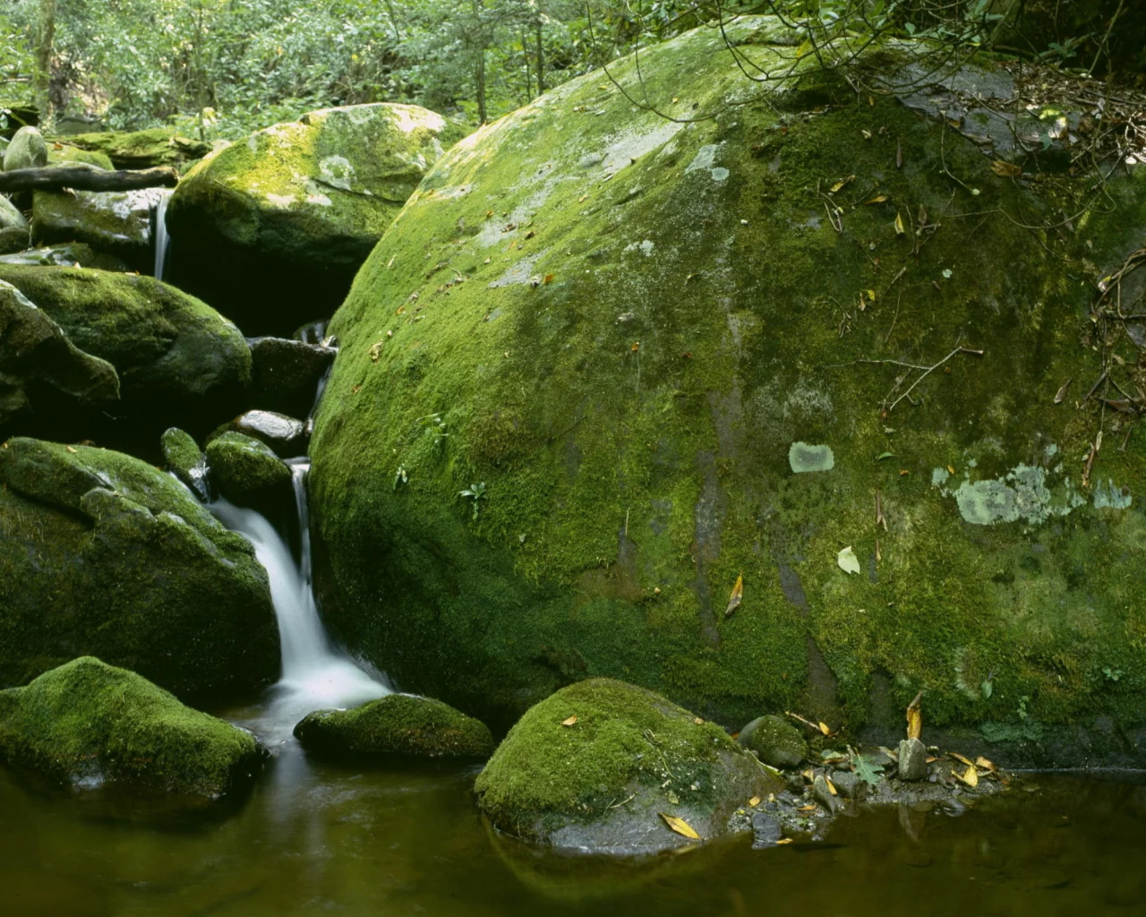 водопад, камни, мох
