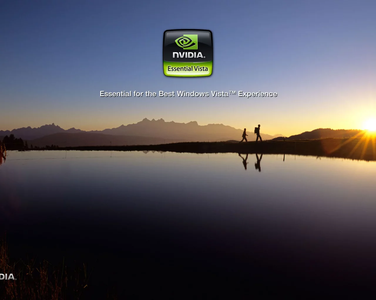 nvidia, реклама