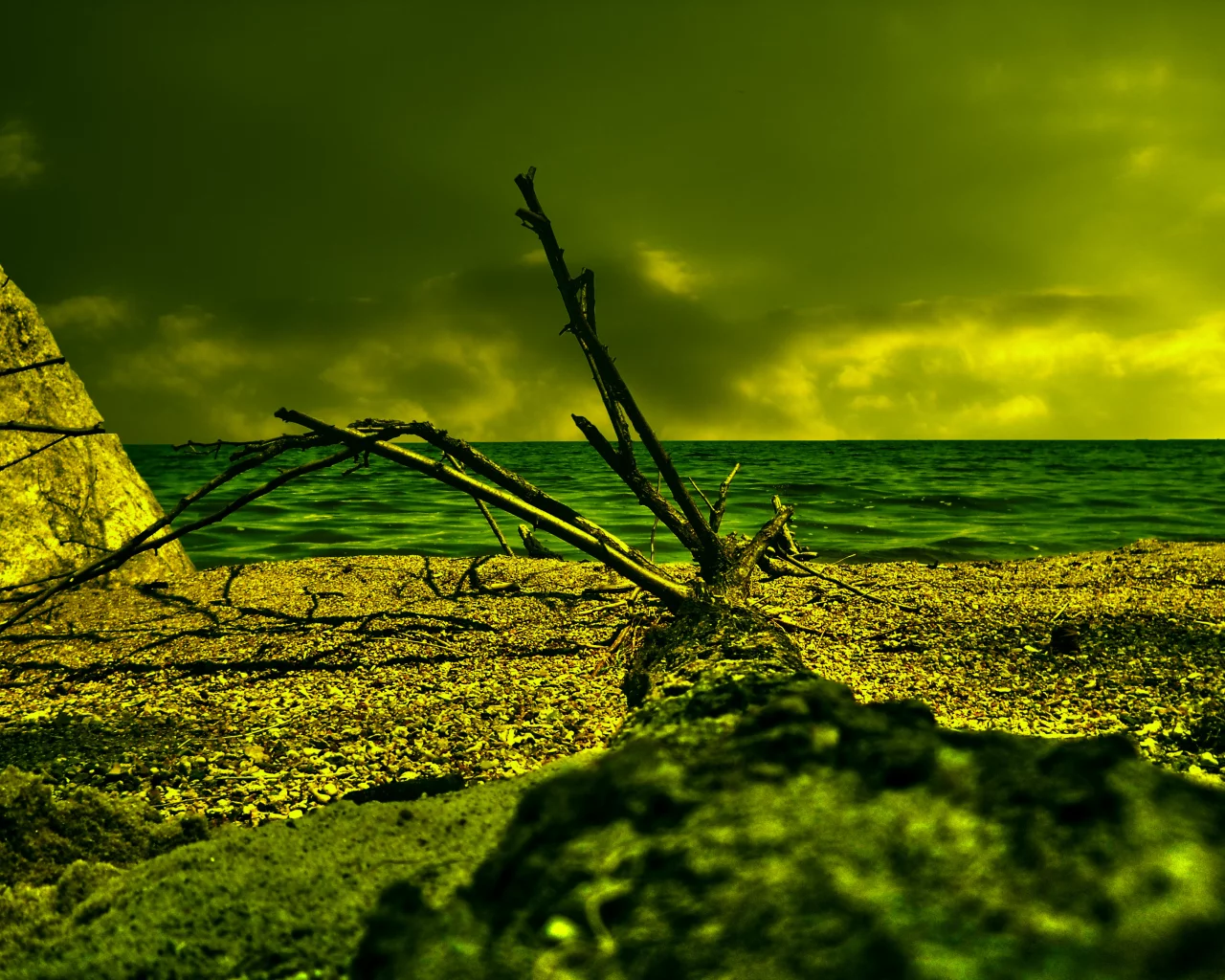 море, облака, дерево, песок, коряга, HDR, пляж, берег, резкость, лето