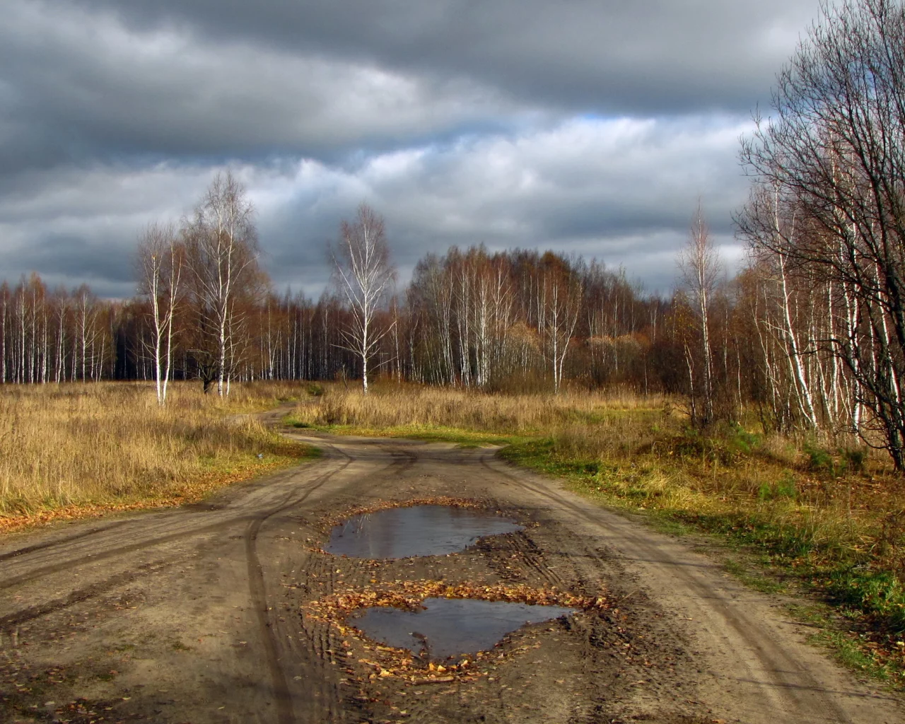 дорога, деревья, природа, небо