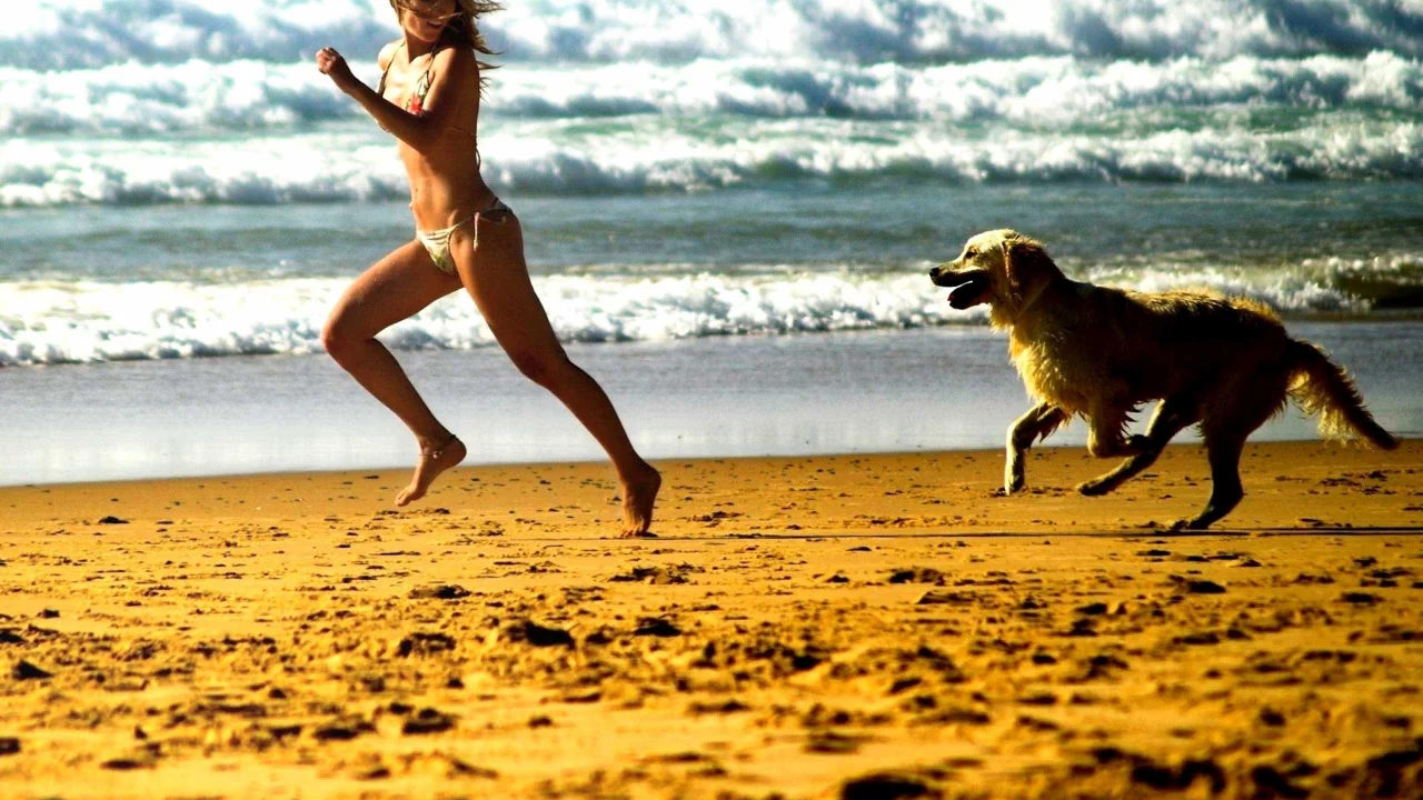 Mood, Run, Beach, girl, Catch, Foam, Posture, Smile, Beaches, Relationship, Candid, Play, Sea, Dog, Streets, Chase, Girl, Bonding