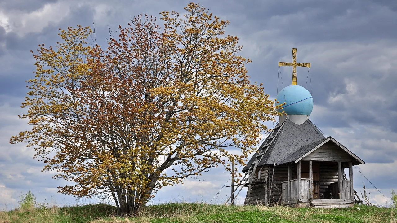 дерево, небо, храм