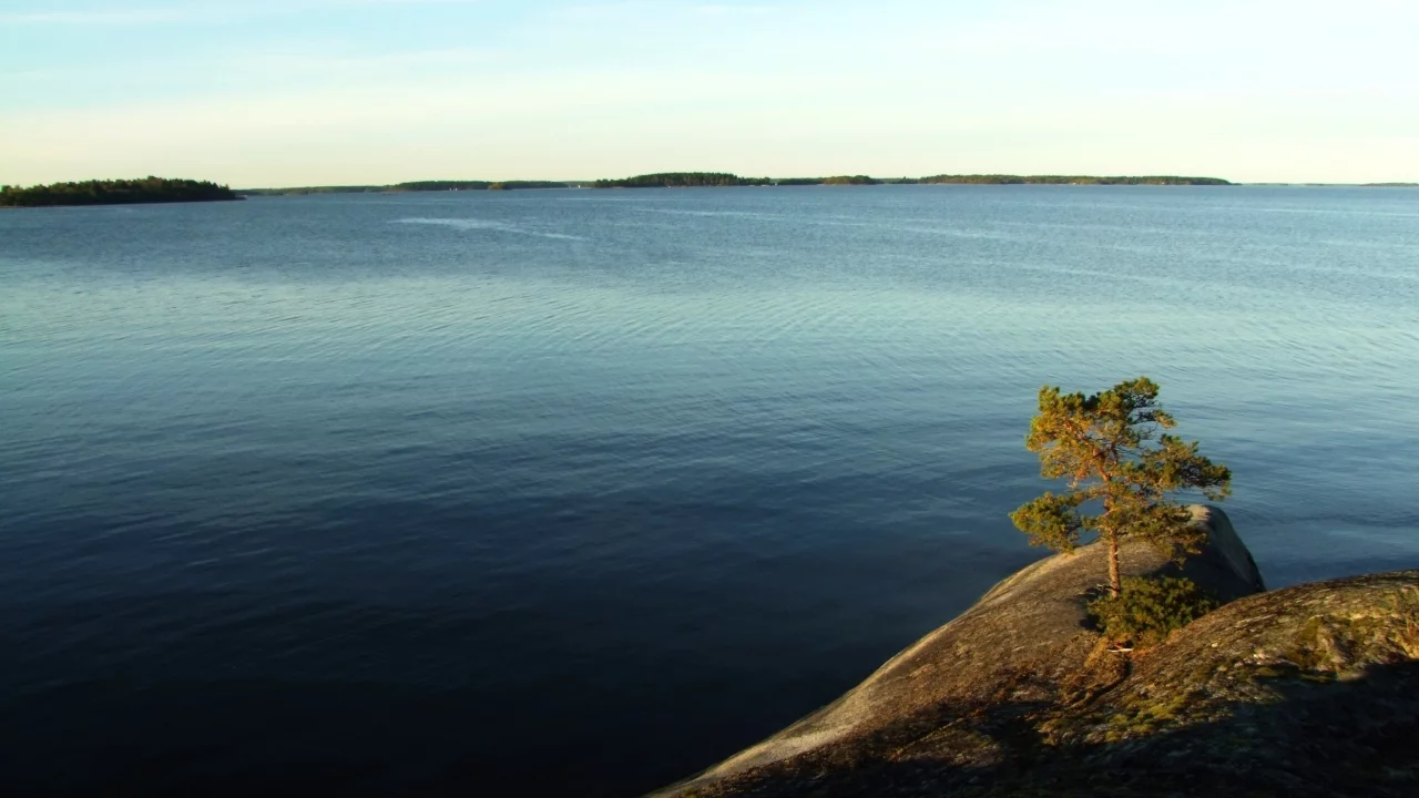 море, дерево, пейзаж