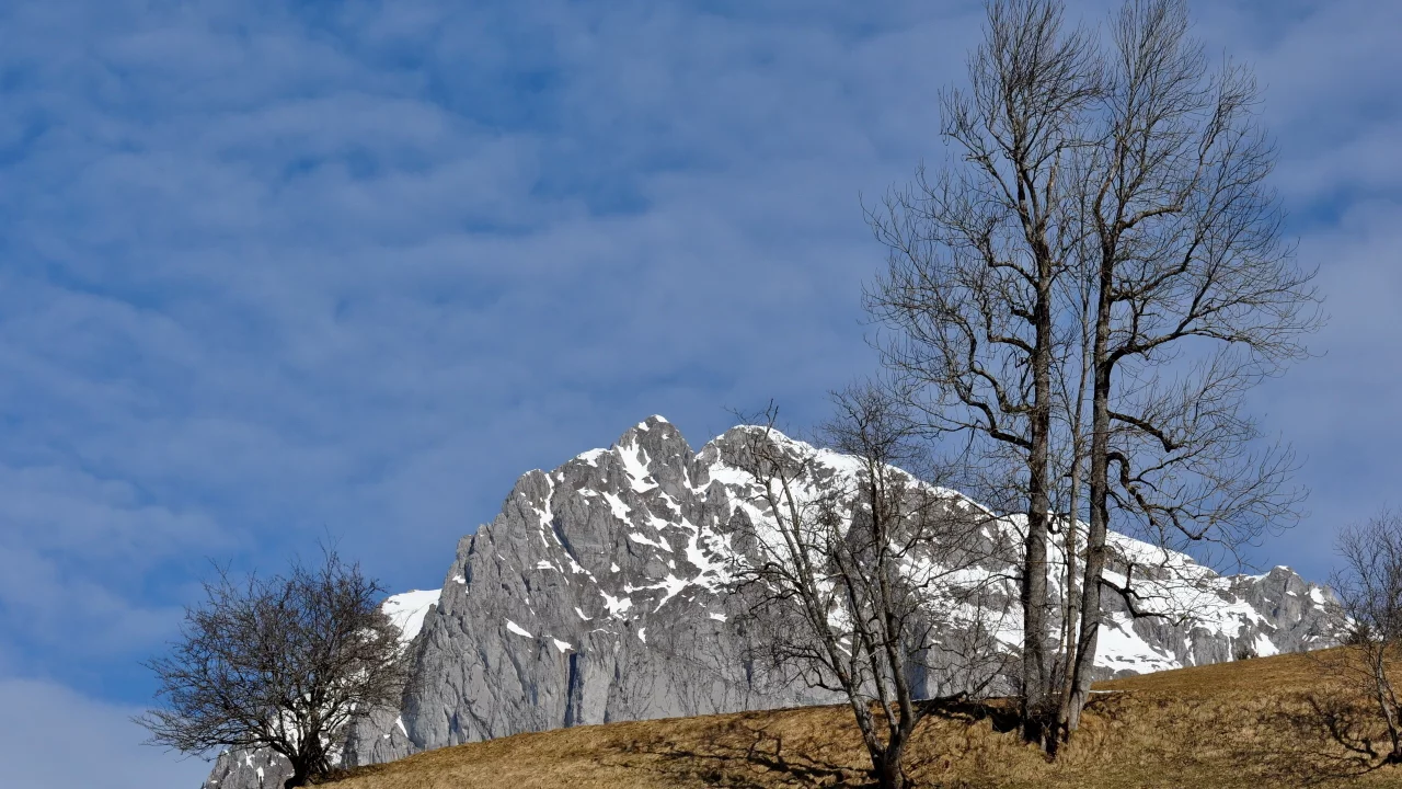 дерево, гора, небо, природа