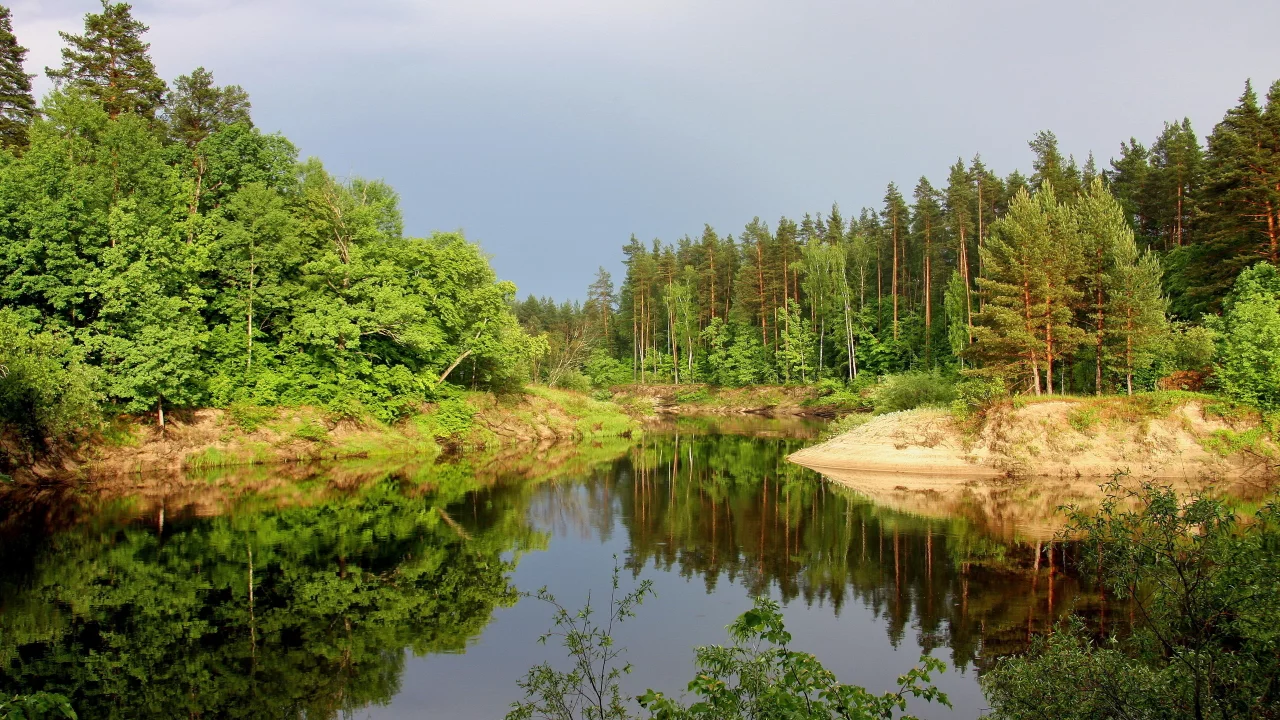 природа, пейзаж, озеро, лес