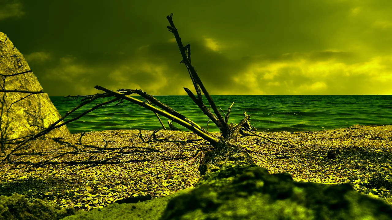 море, облака, дерево, песок, коряга, HDR, пляж, берег, резкость, лето