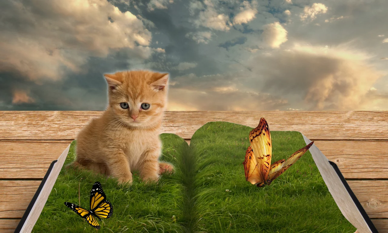 Котёнок, Бабочки, Живая книга