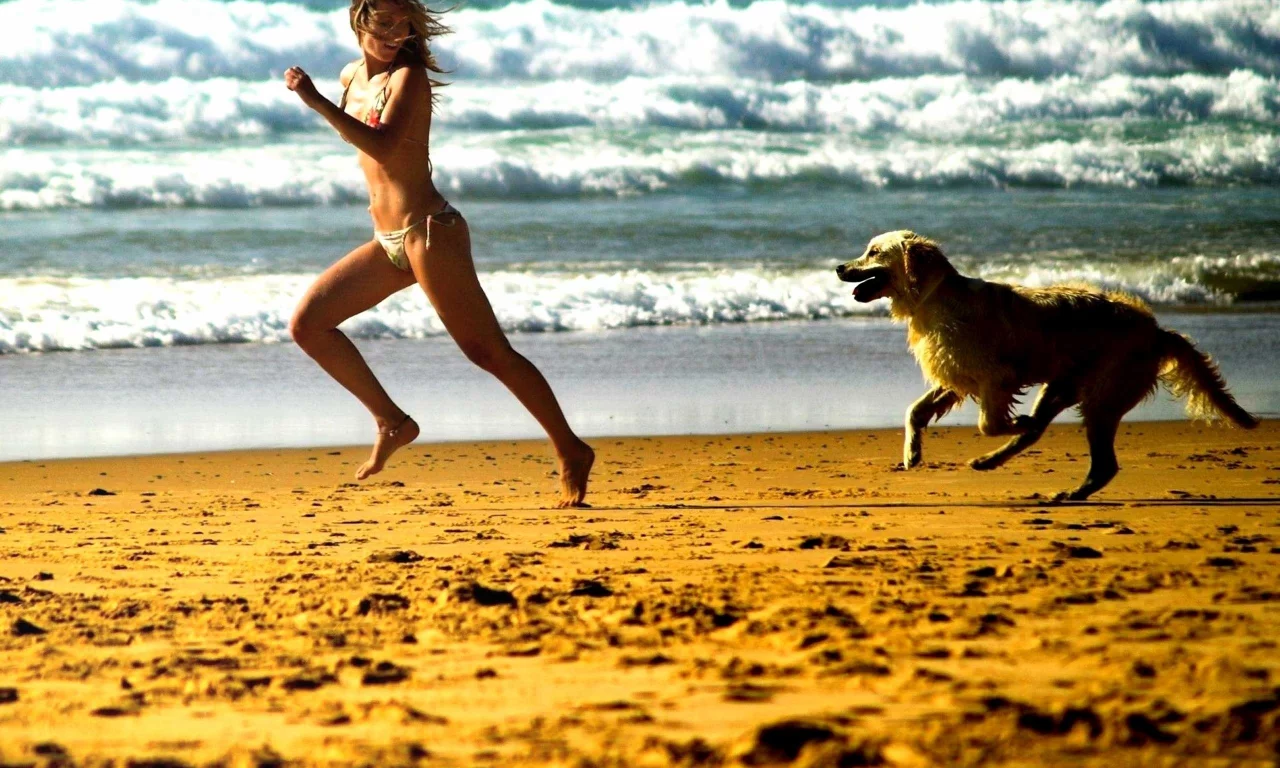Mood, Run, Beach, girl, Catch, Foam, Posture, Smile, Beaches, Relationship, Candid, Play, Sea, Dog, Streets, Chase, Girl, Bonding