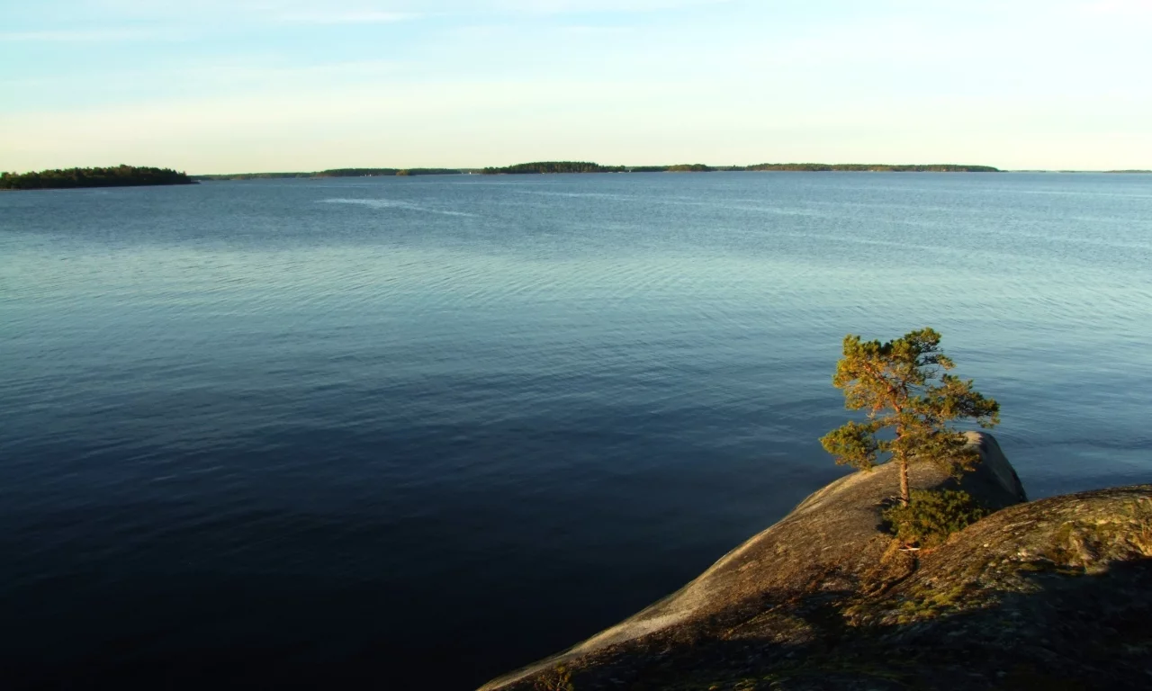 море, дерево, пейзаж