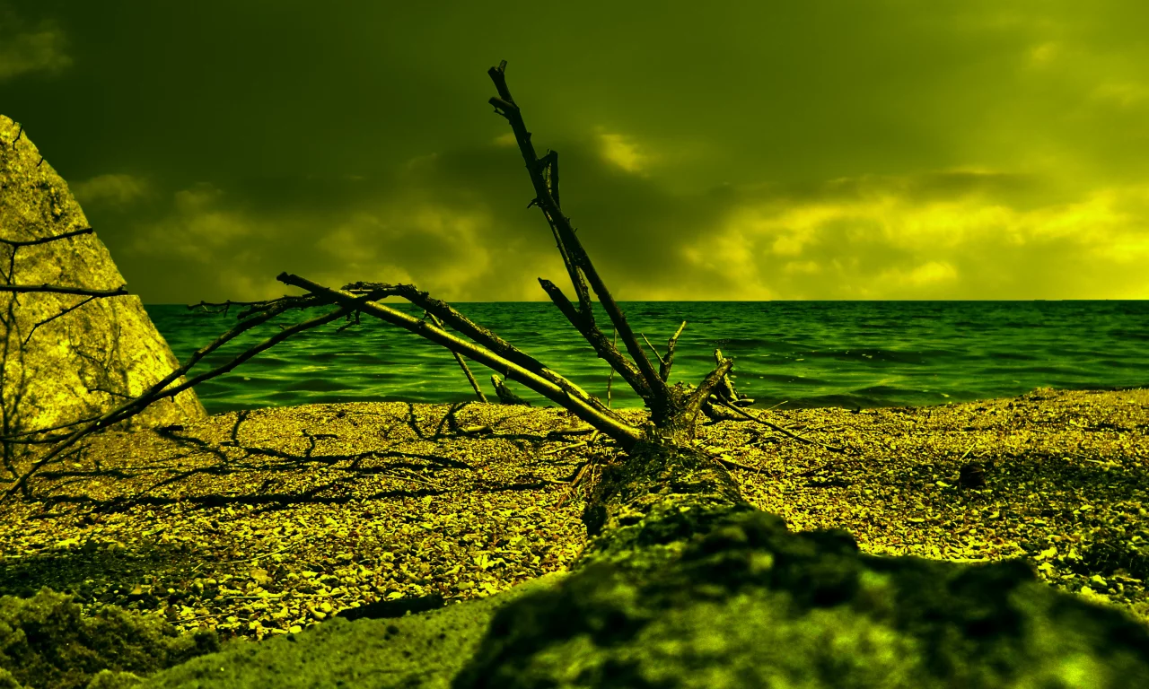 море, облака, дерево, песок, коряга, HDR, пляж, берег, резкость, лето