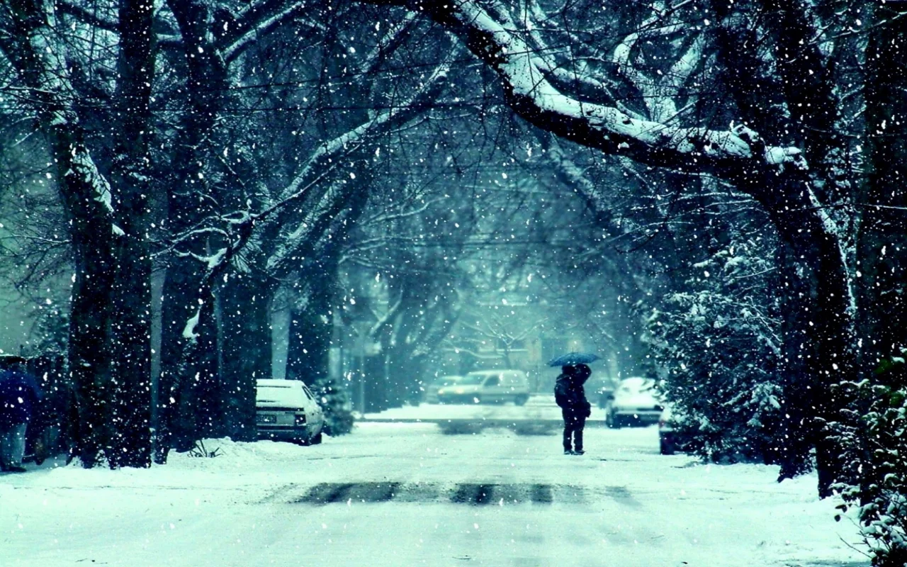 грусть, аллея, холод, снег