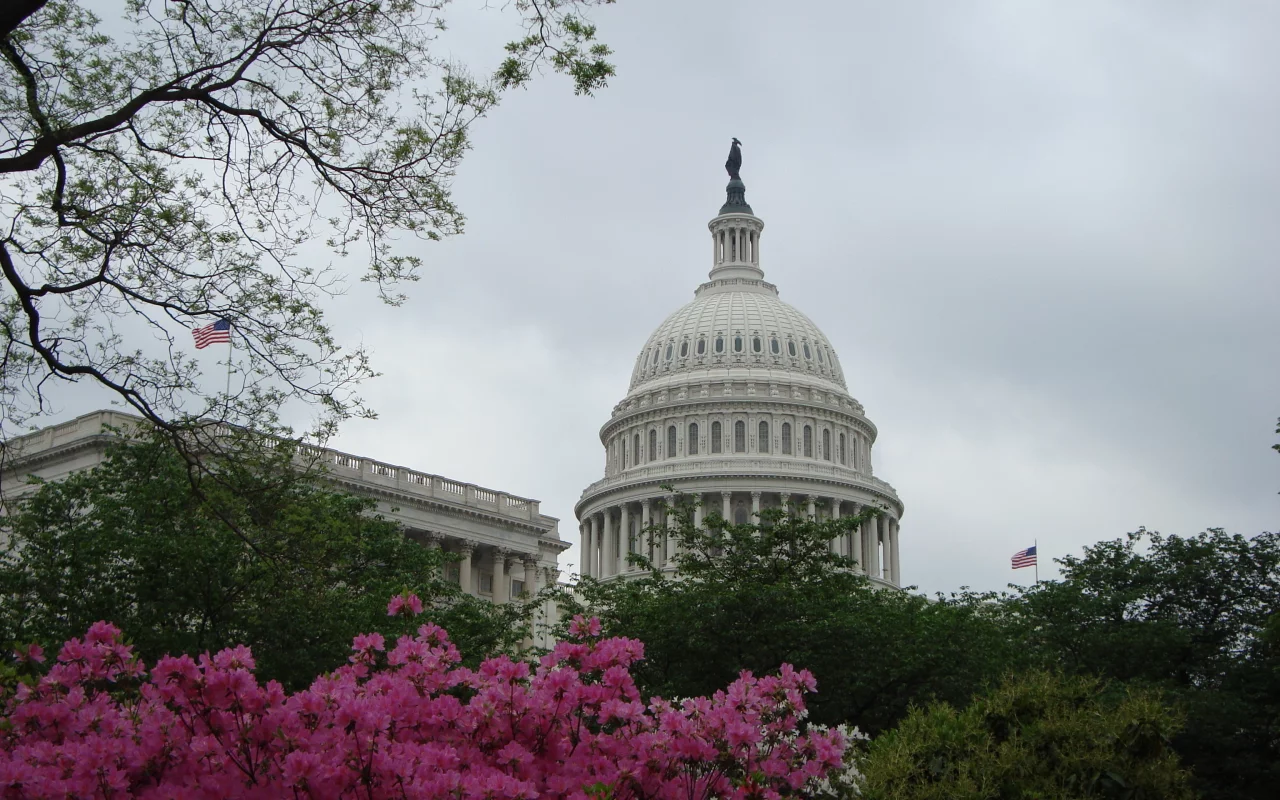 Цветы, США, Капитолий, Вашингтон