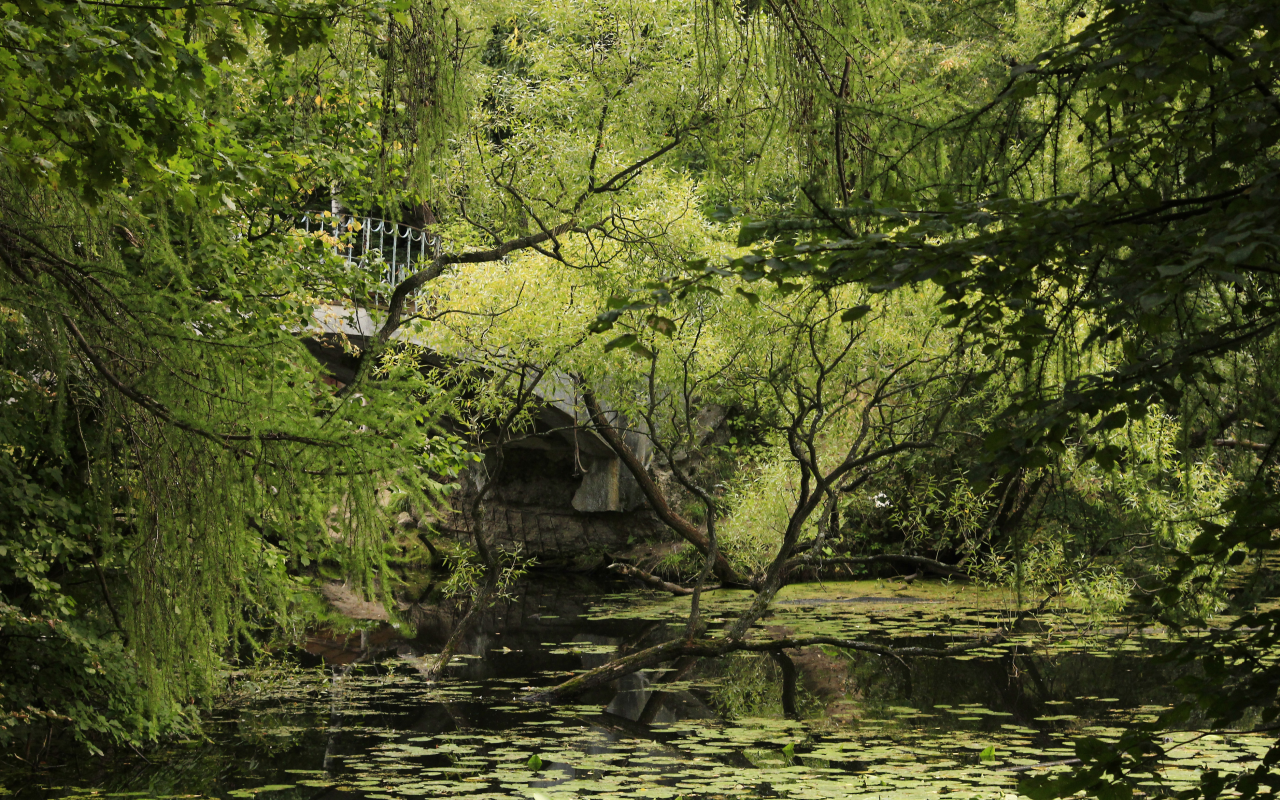 лето, мост, зелень, парк, пруд