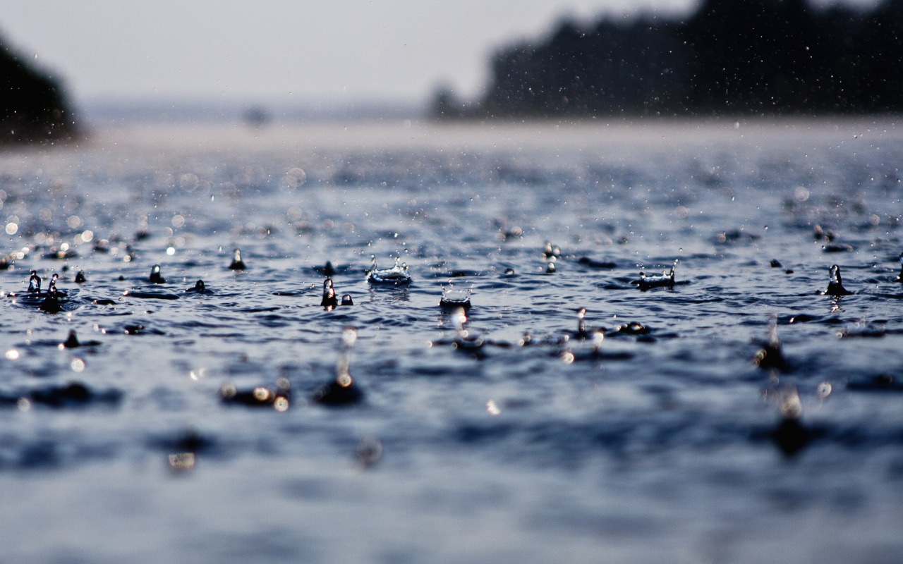 мокро, вода, капли, дождь, ливень, капля, ливни, макро обои, дожди