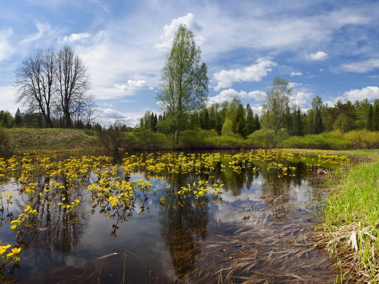 река, небо, лето