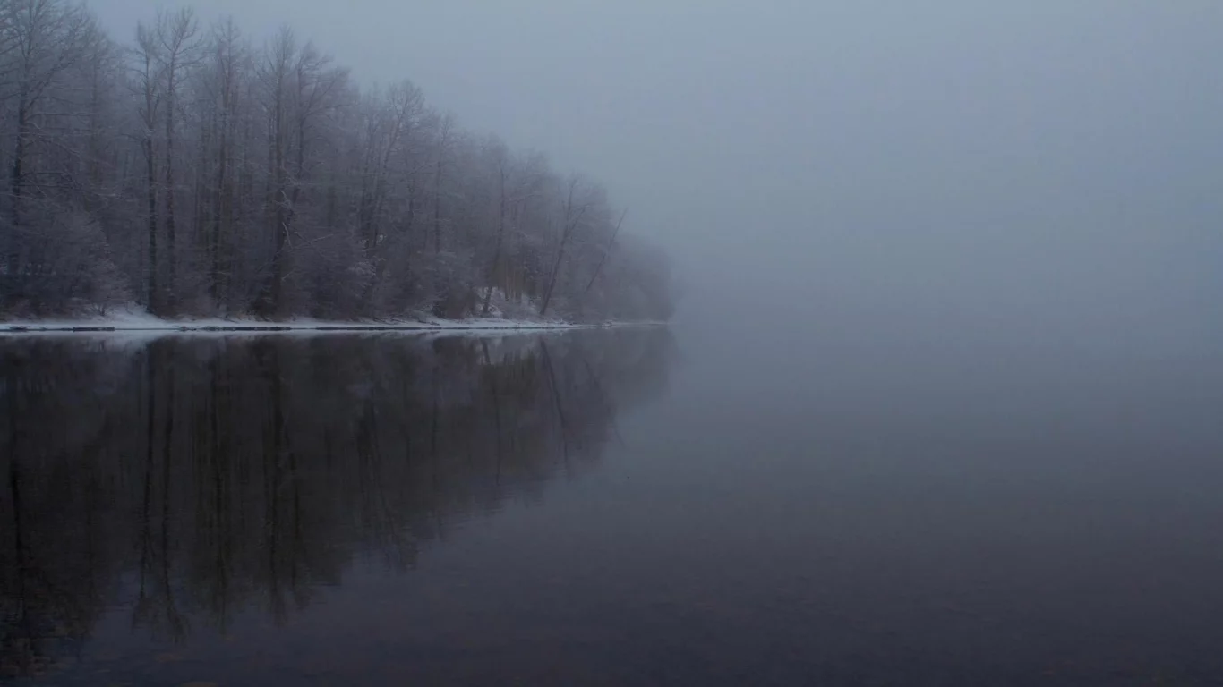 зима, деревья, вода, отражение