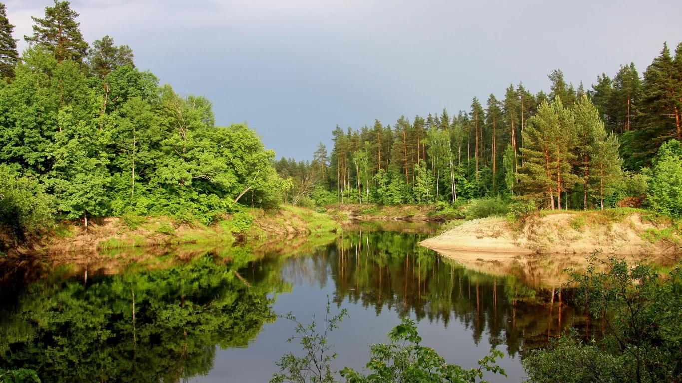 природа, пейзаж, озеро, лес