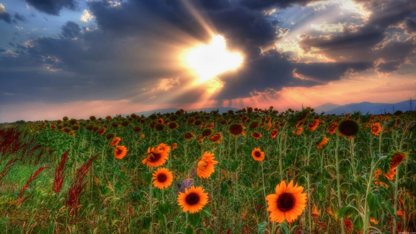 небо, пейзаж, HDR, природа, поле, тучи