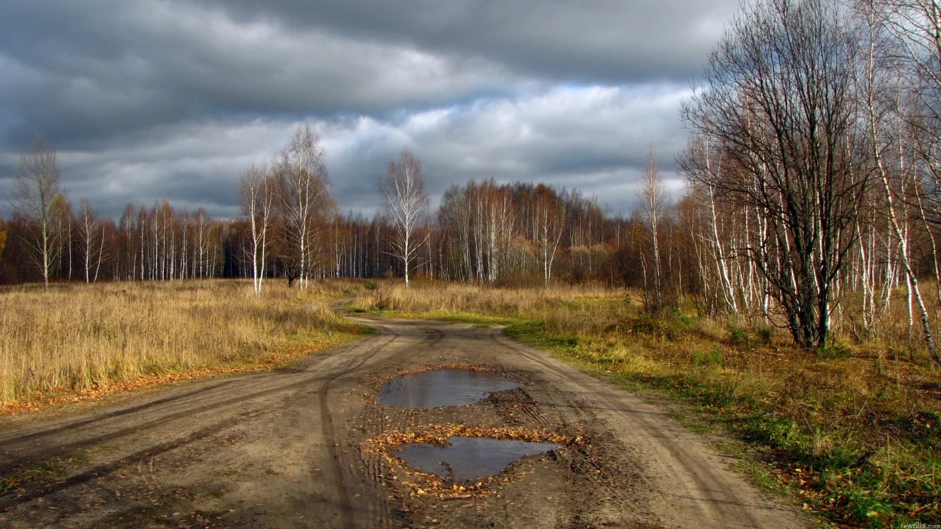 дорога, деревья, природа, небо
