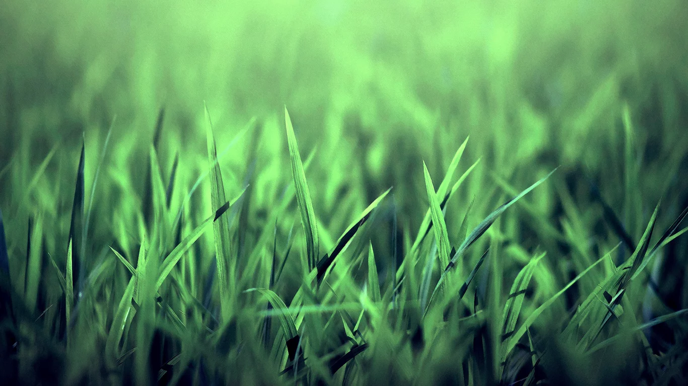 Grass, Трава, Красиво