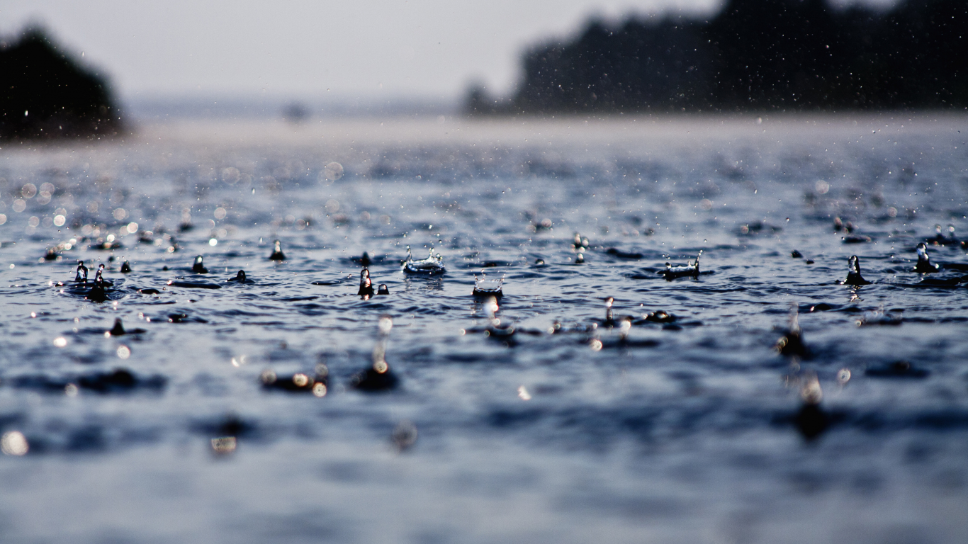 мокро, вода, капли, дождь, ливень, капля, ливни, макро обои, дожди