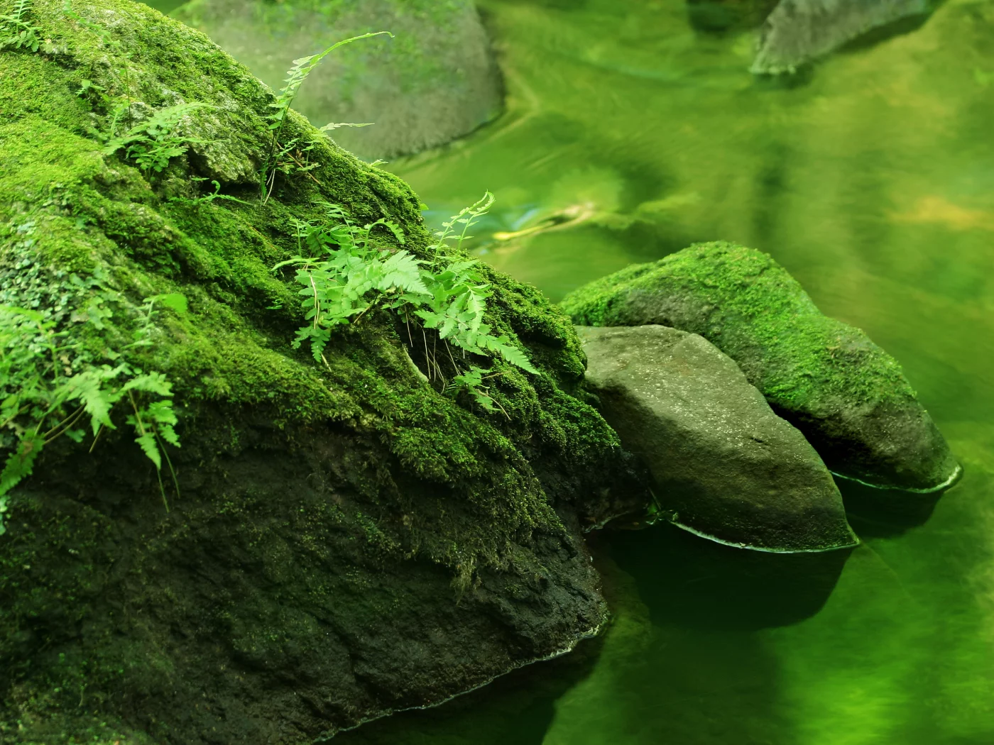 река, вода, лес, камни, природа, реки, растения
