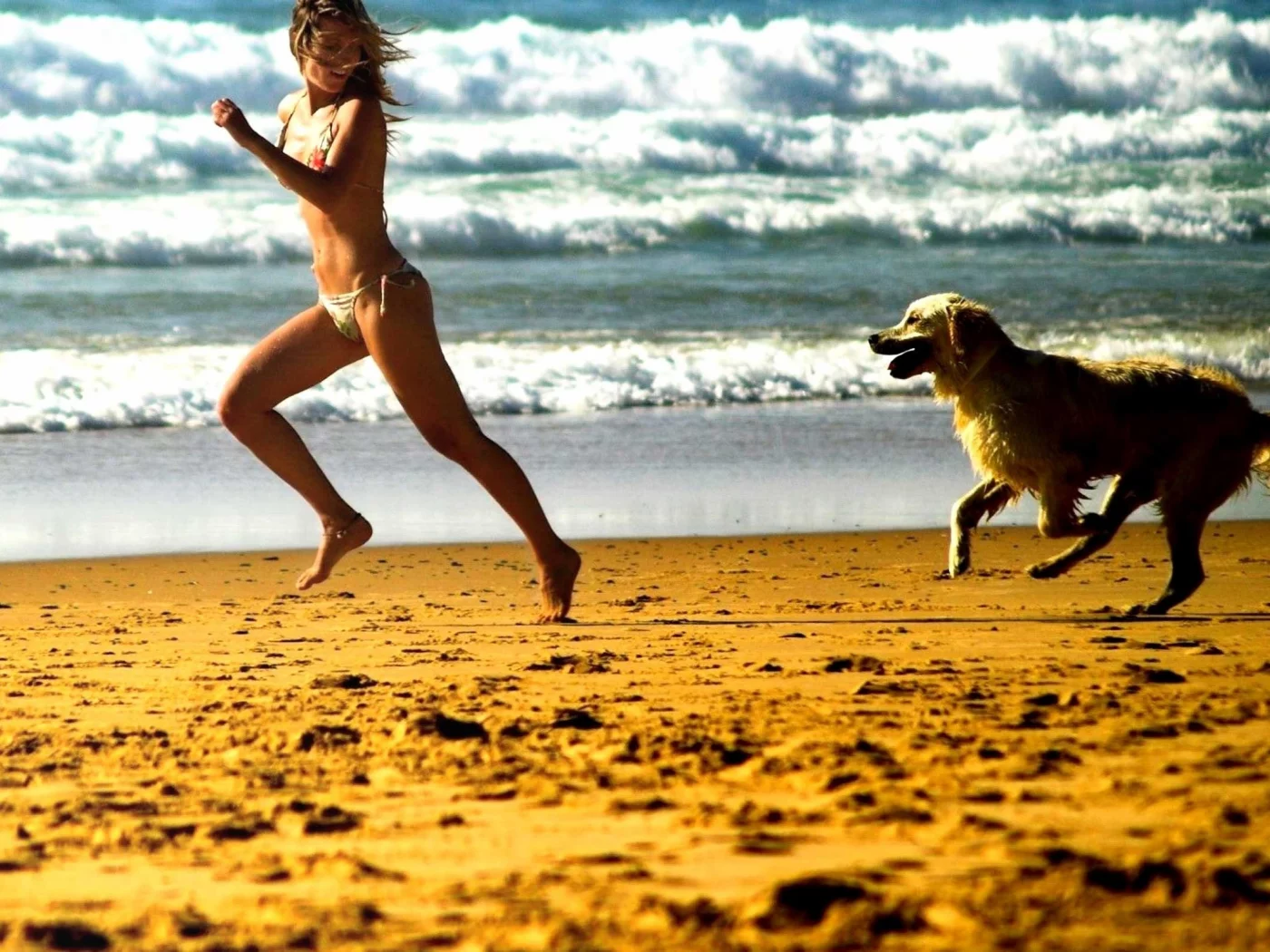 Mood, Run, Beach, girl, Catch, Foam, Posture, Smile, Beaches, Relationship, Candid, Play, Sea, Dog, Streets, Chase, Girl, Bonding