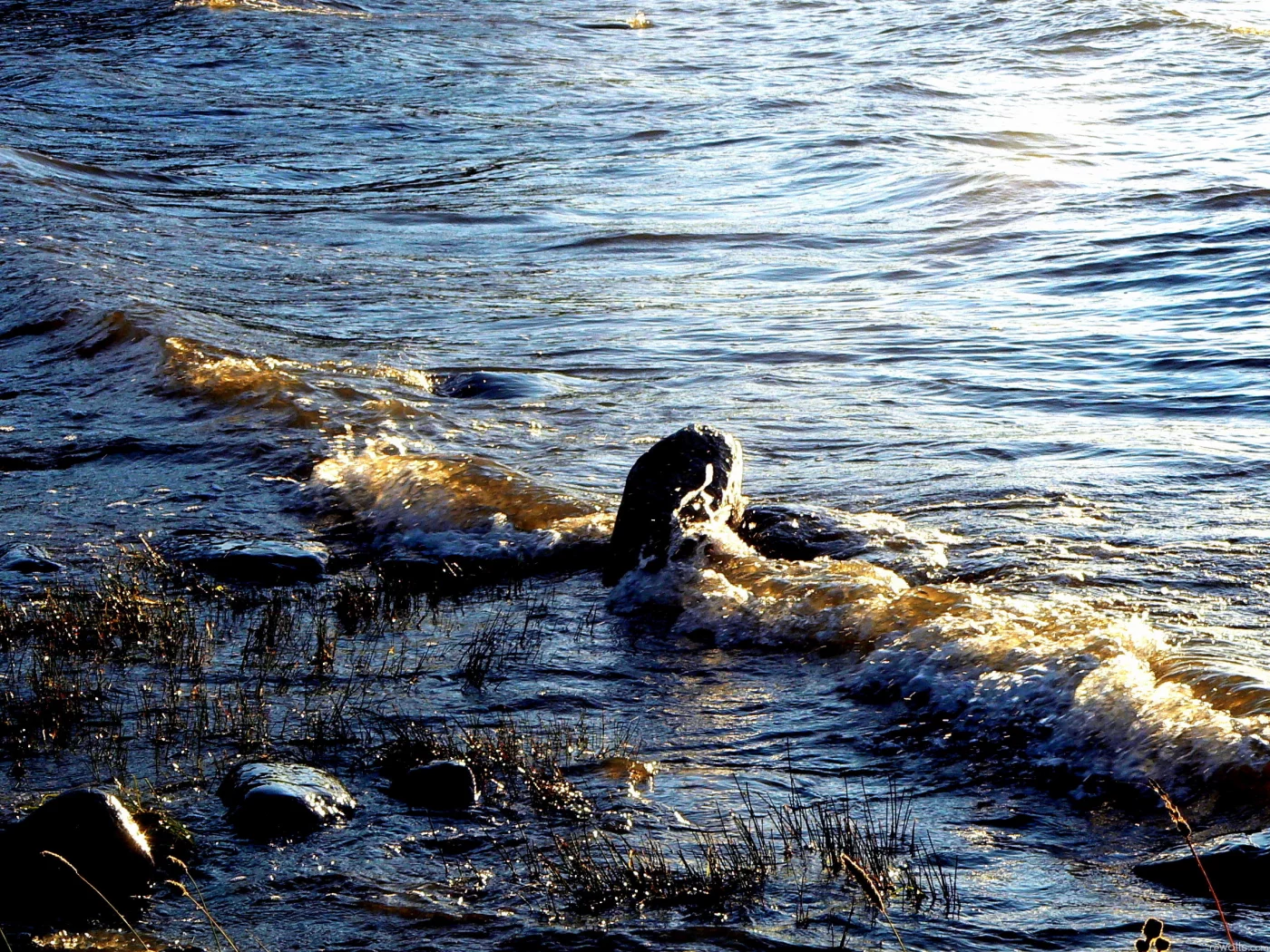 волны, море, камень