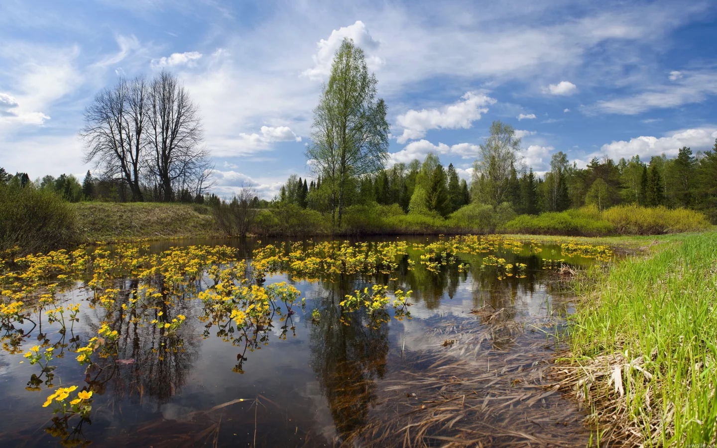 река, небо, лето