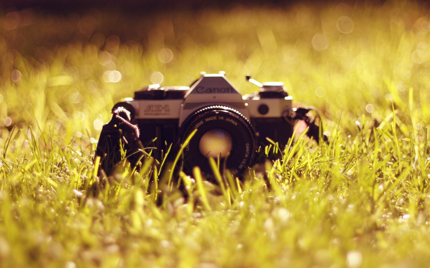 объектив, фотоаппарат, антиквариат, трава