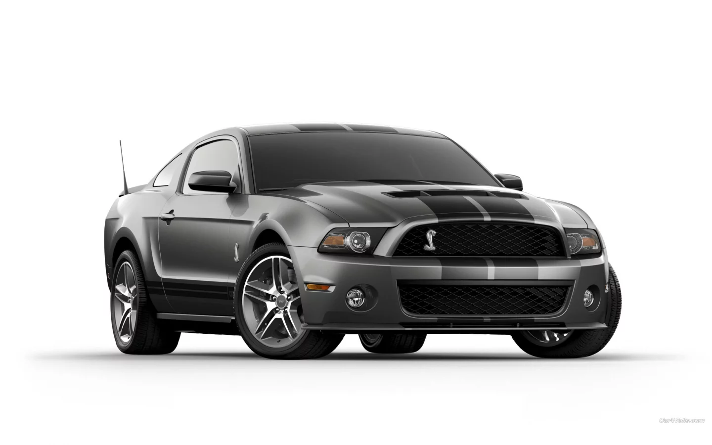 GT500, машины, Shelby, авто, автомобили