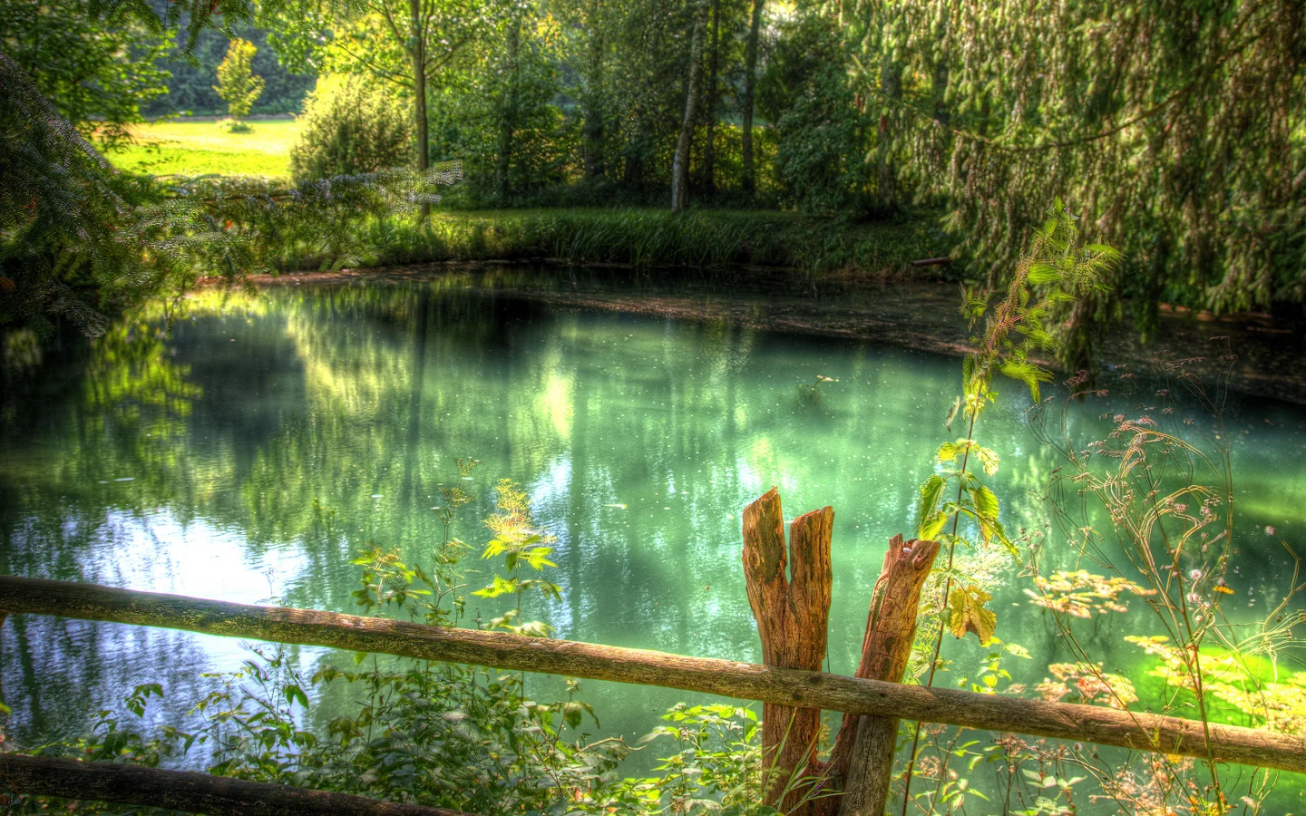 трава, зелень, лес, река
