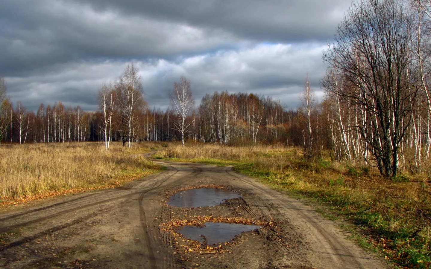 дорога, деревья, природа, небо