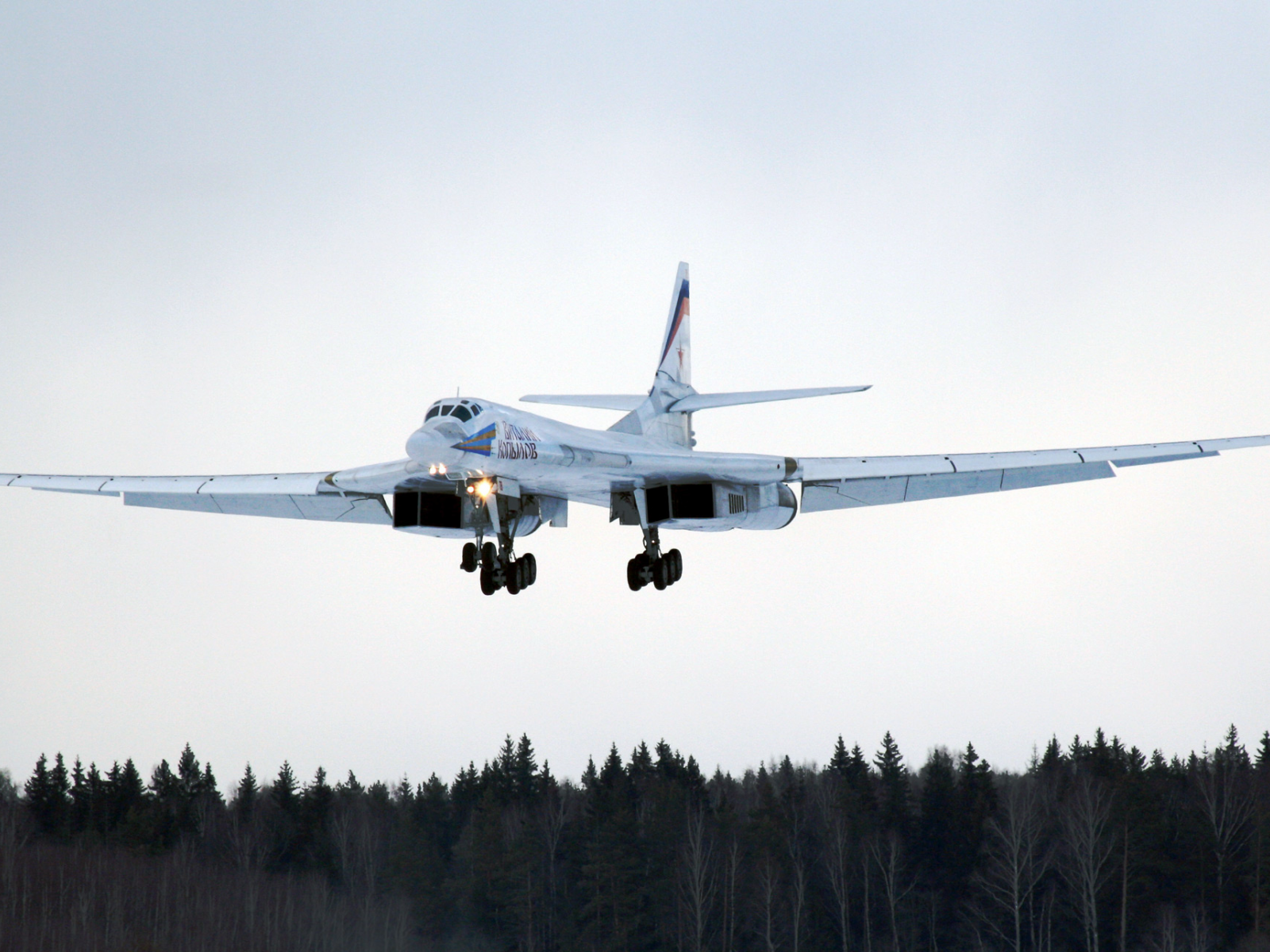 Ту-160, Туполев, ракетоносец, белый лебедь