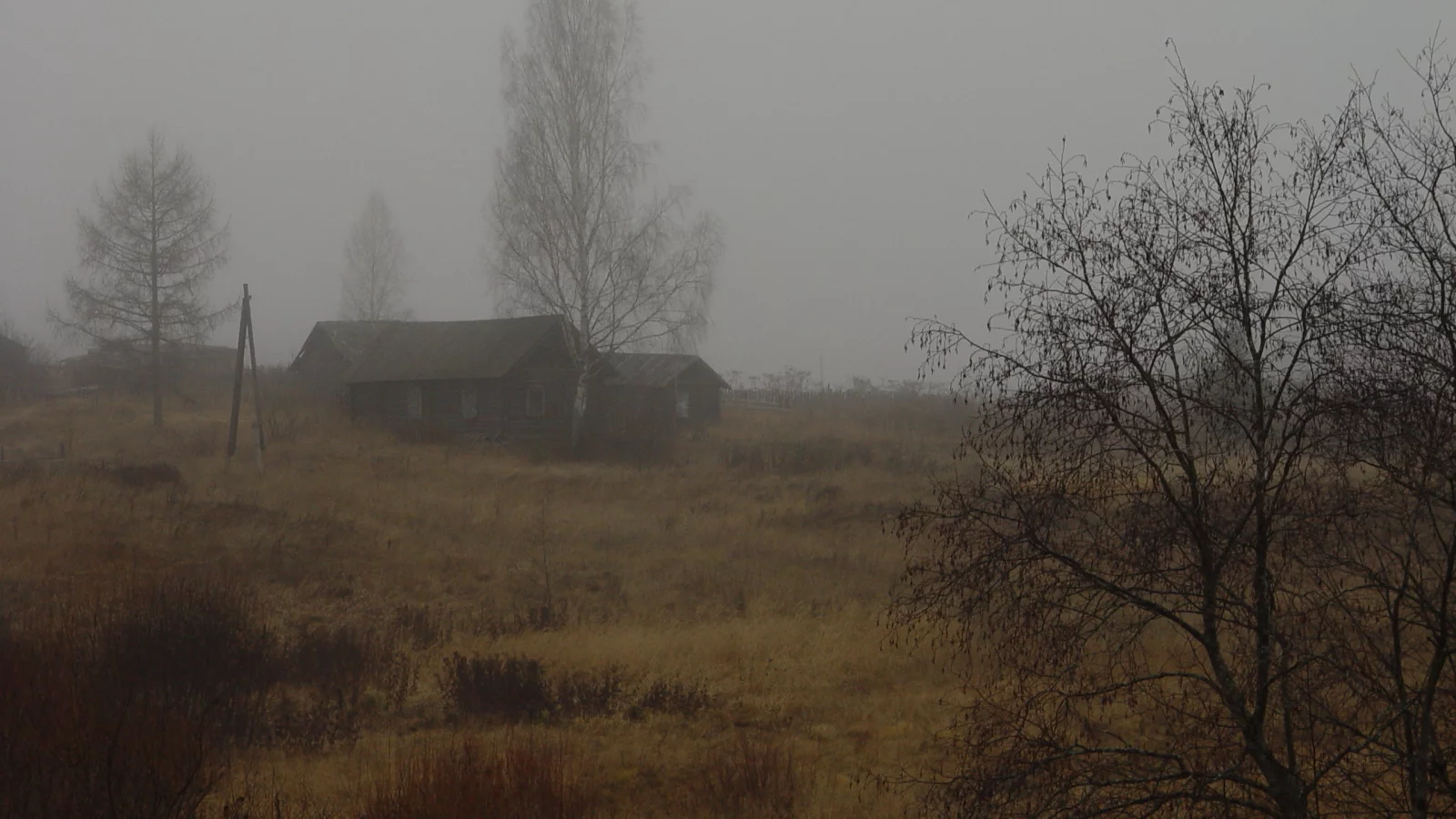 сердце, краснота, знание, книга