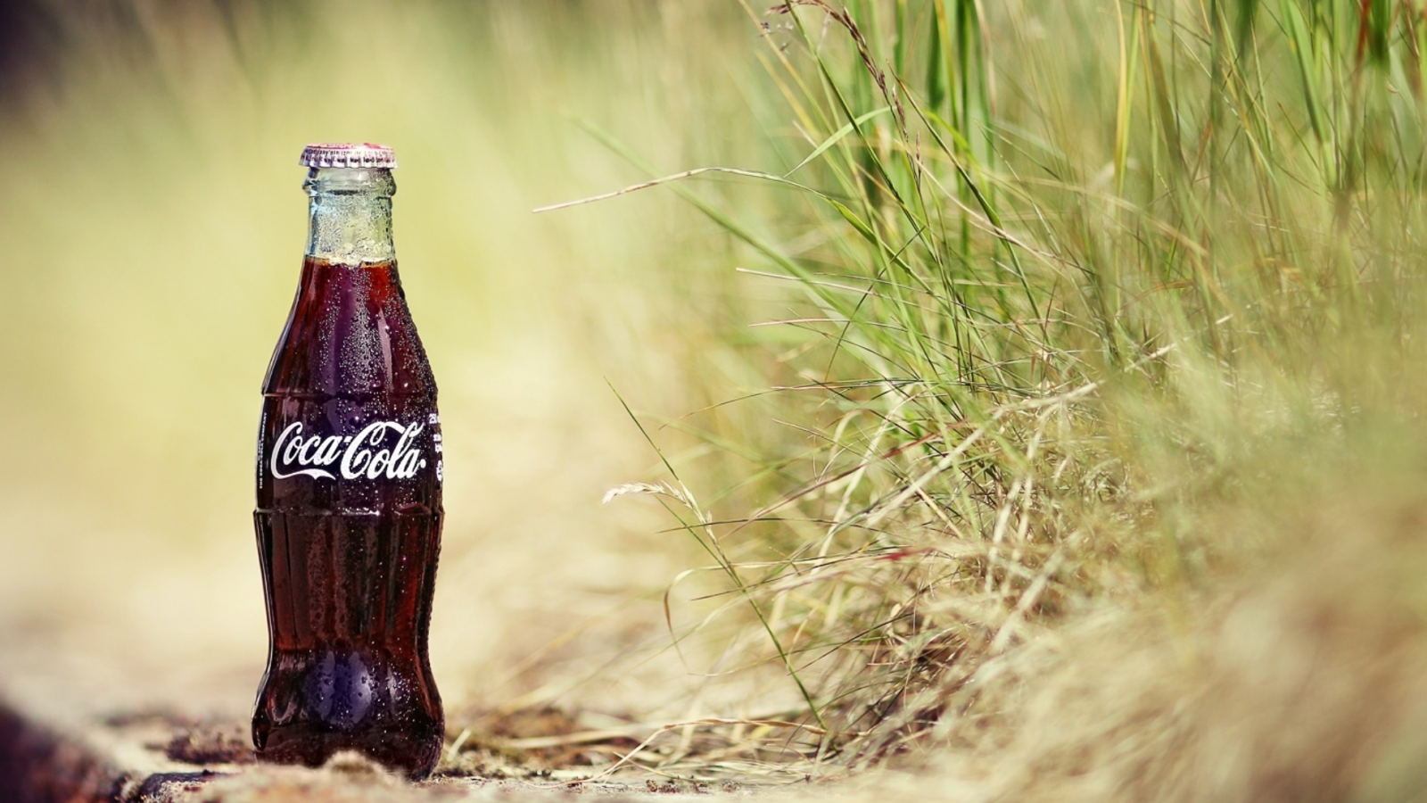 кока-кола, обои, трава, фон, капли, coca-cola, напиток, растения, wallpapers, бутылка, газировка, кола, песок