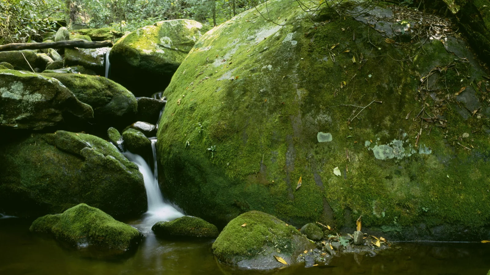 водопад, камни, мох
