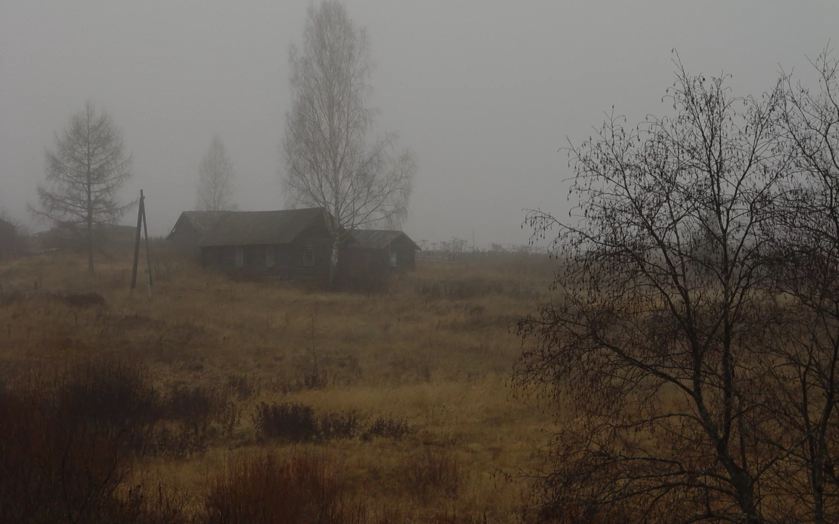 сердце, краснота, знание, книга