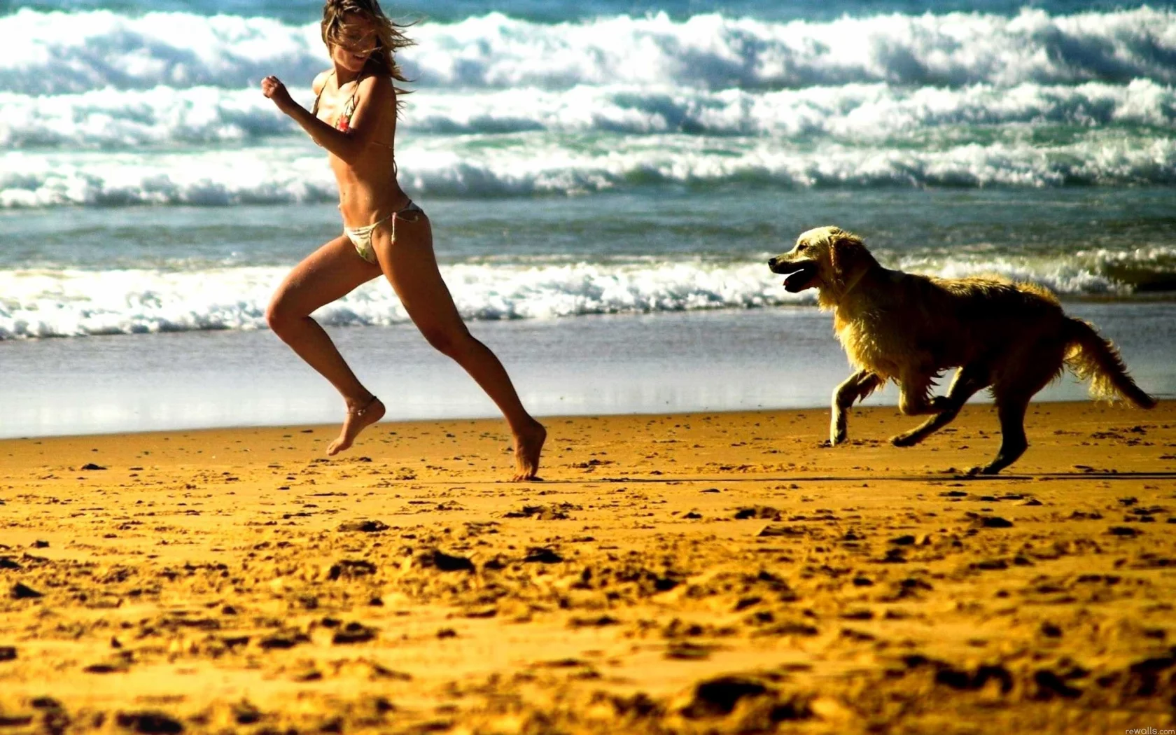 Mood, Run, Beach, girl, Catch, Foam, Posture, Smile, Beaches, Relationship, Candid, Play, Sea, Dog, Streets, Chase, Girl, Bonding