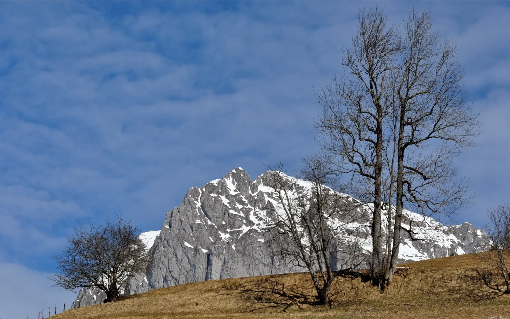 дерево, гора, небо, природа