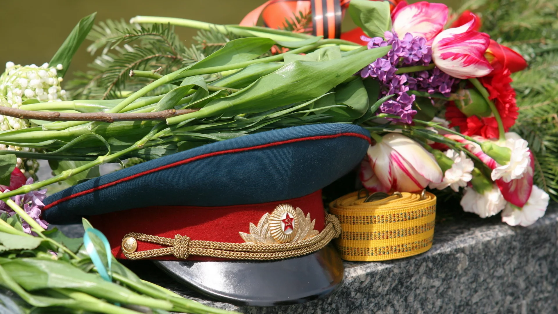цветы, 9 мая, война