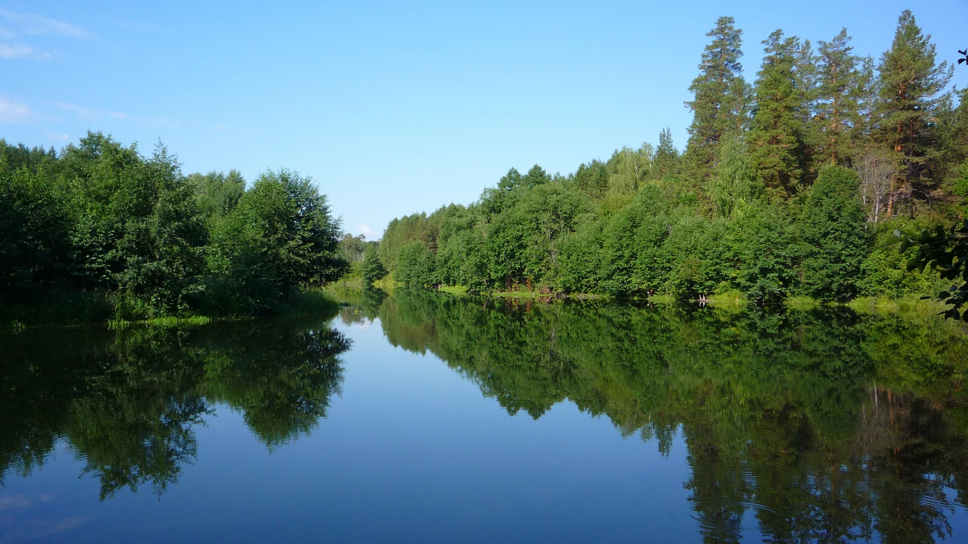 лес, река, утро