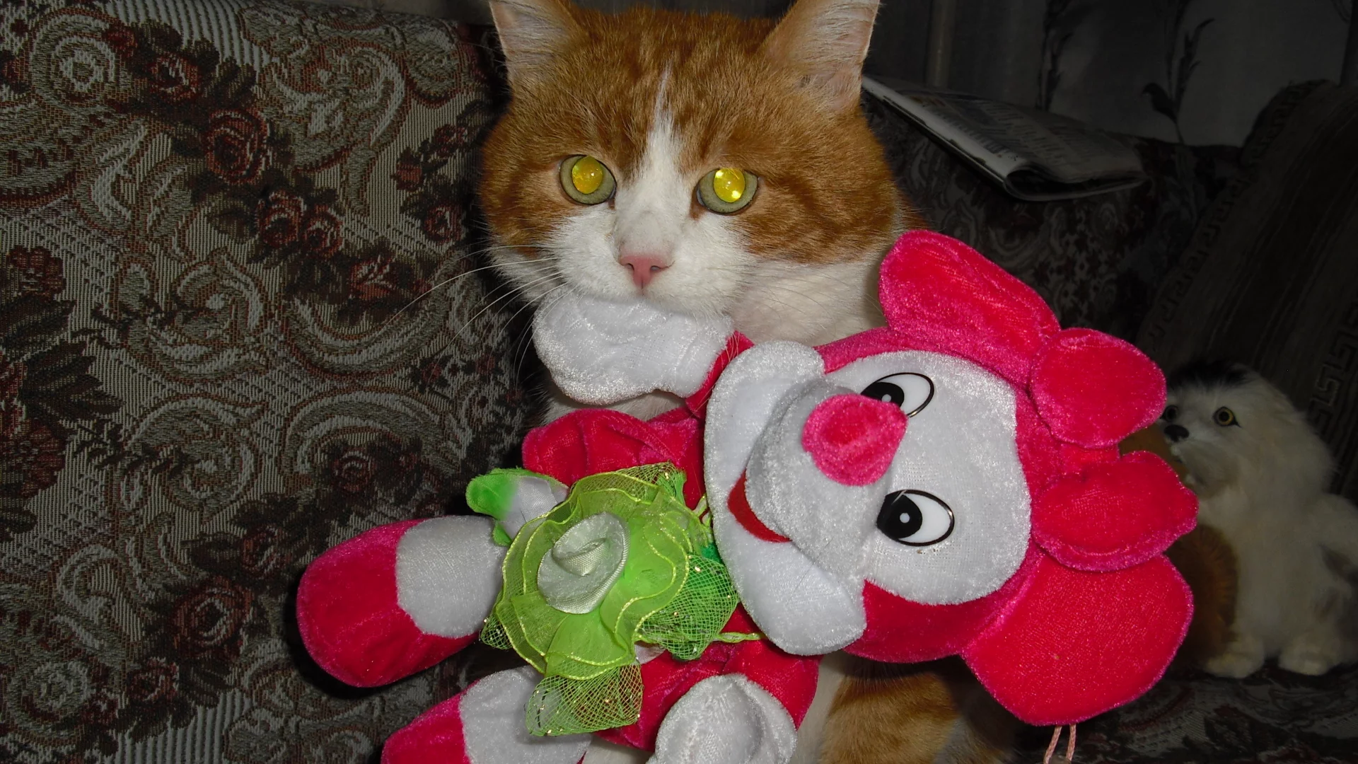 котик, охота, мышка