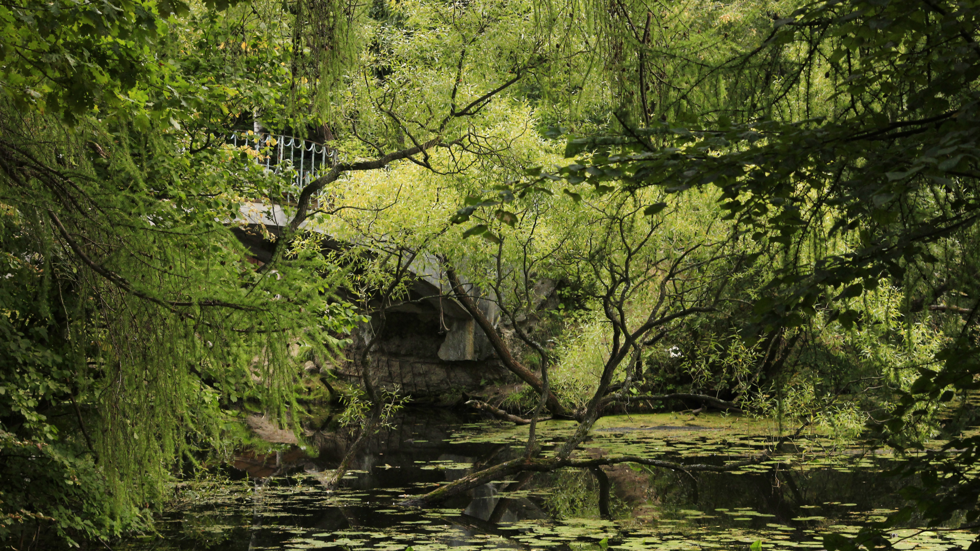 лето, мост, зелень, парк, пруд