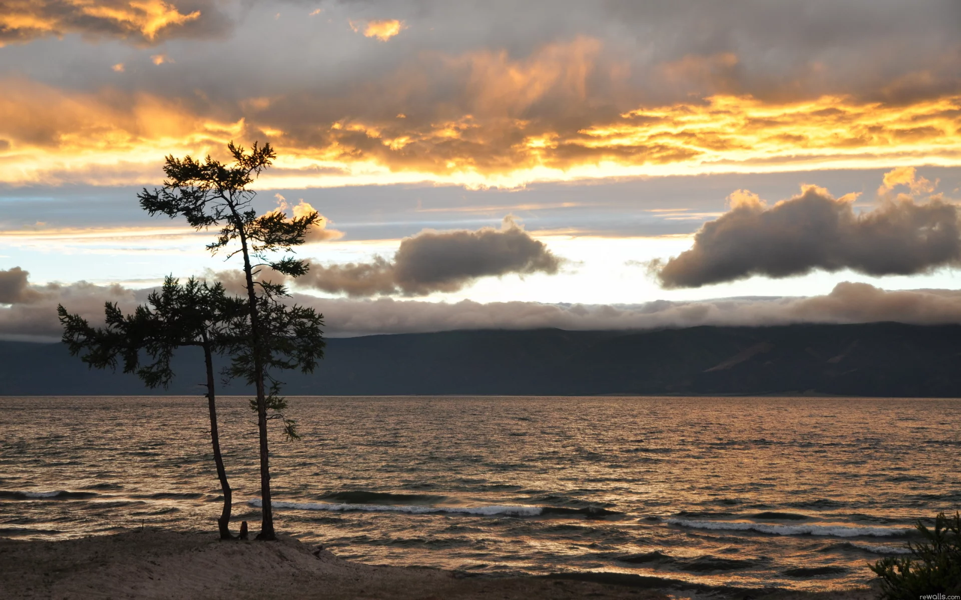 дерево, море, небо