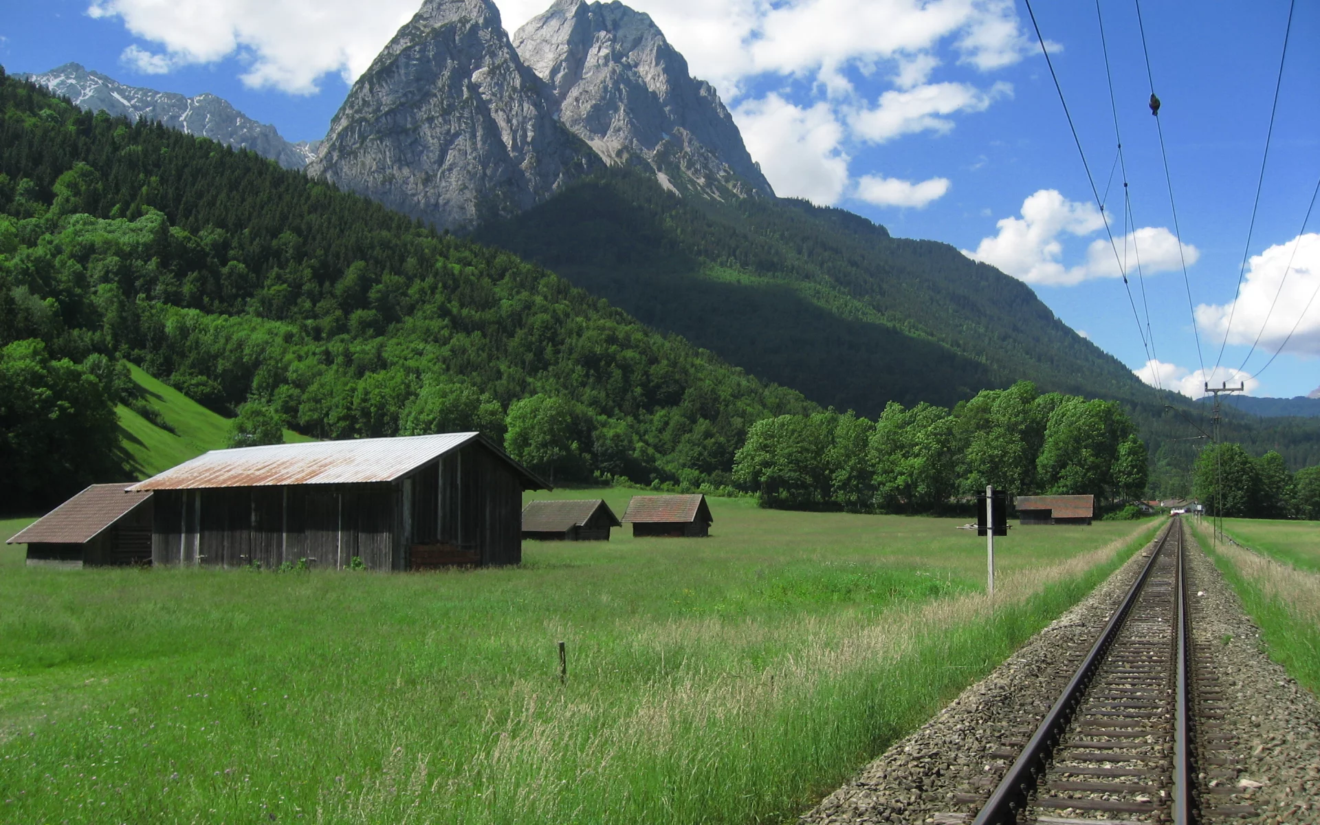 линия, лес, гора