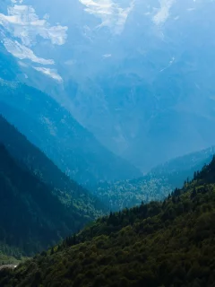 леса, природа, Горы