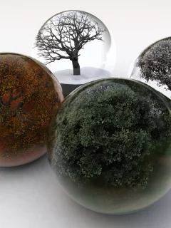 шары, года, времена