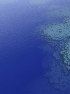 острова, море, пальмы