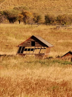 поле, природа, дом